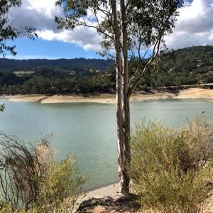 Meet your Posher, Nora